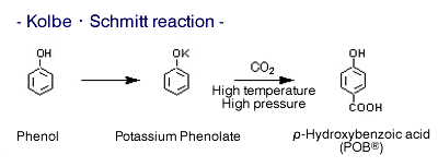 Kolbe ･ Schmitt reaction
